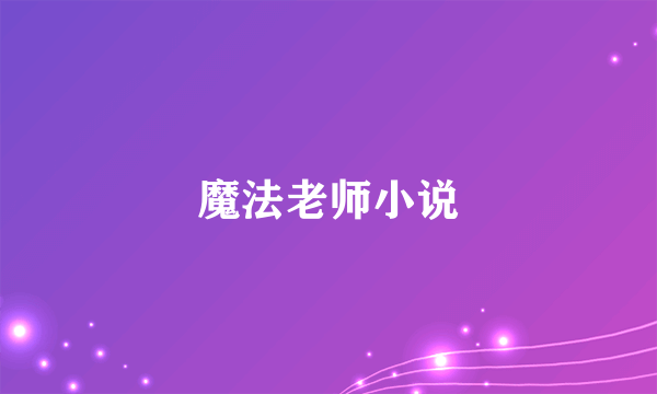 魔法老师小说