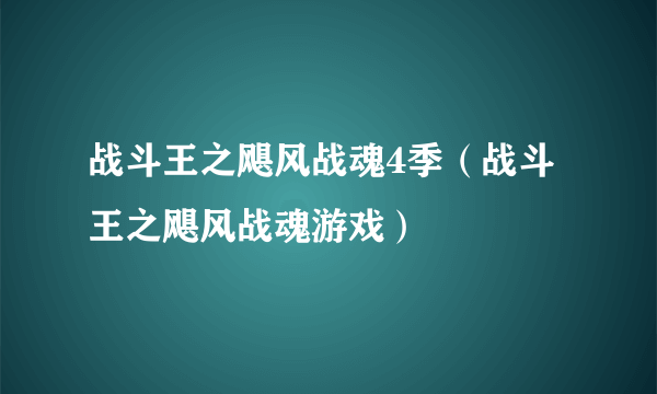 战斗王之飓风战魂4季（战斗王之飓风战魂游戏）