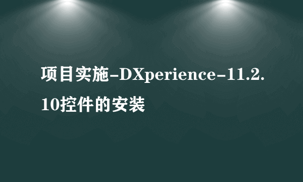 项目实施-DXperience-11.2.10控件的安装