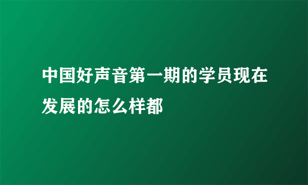 中国好声音第一期的学员现在发展的怎么样都