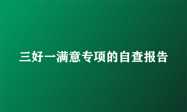 三好一满意专项的自查报告