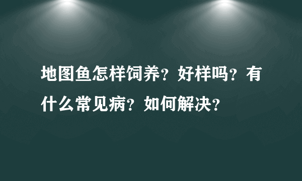 地图鱼怎样饲养？好样吗？有什么常见病？如何解决？