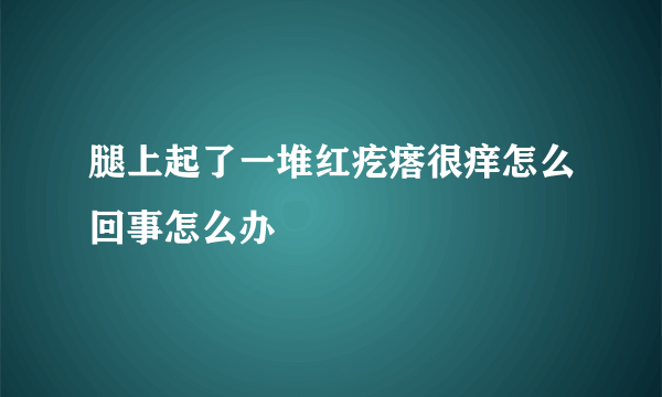 腿上起了一堆红疙瘩很痒怎么回事怎么办