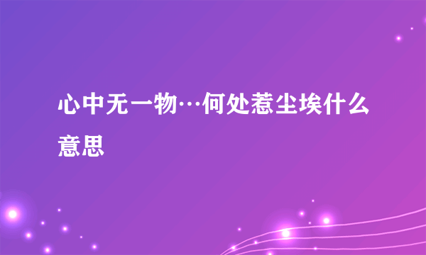 心中无一物…何处惹尘埃什么意思