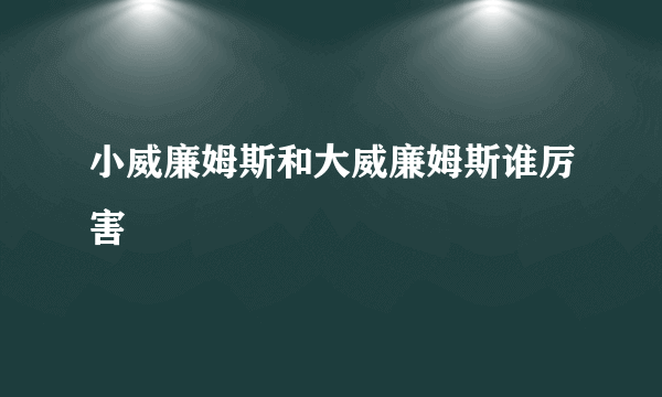 小威廉姆斯和大威廉姆斯谁厉害