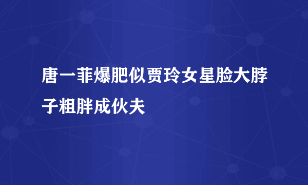 唐一菲爆肥似贾玲女星脸大脖子粗胖成伙夫