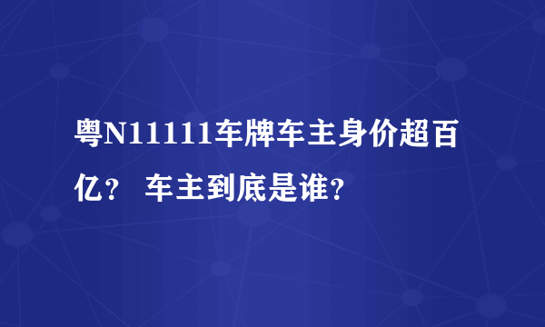 粤N11111车牌车主身价超百亿？ 车主到底是谁？