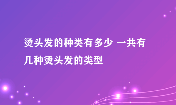 烫头发的种类有多少 一共有几种烫头发的类型