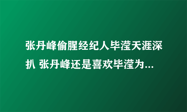 张丹峰偷腥经纪人毕滢天涯深扒 张丹峰还是喜欢毕滢为什么看上她