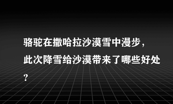 骆驼在撒哈拉沙漠雪中漫步，此次降雪给沙漠带来了哪些好处？