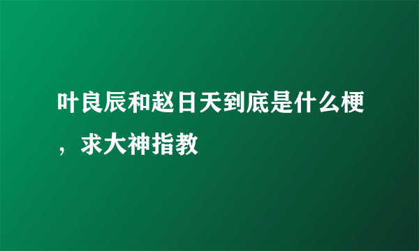 叶良辰和赵日天到底是什么梗，求大神指教