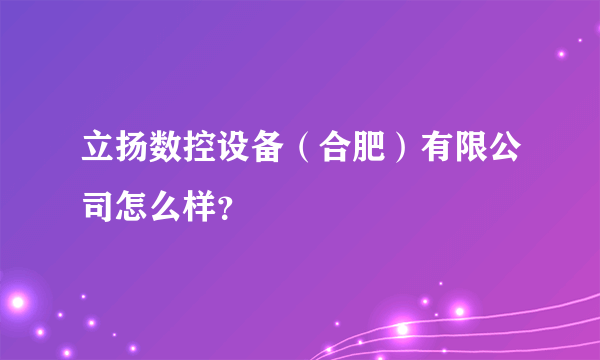 立扬数控设备（合肥）有限公司怎么样？