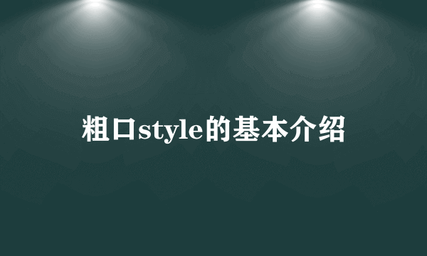 粗口style的基本介绍