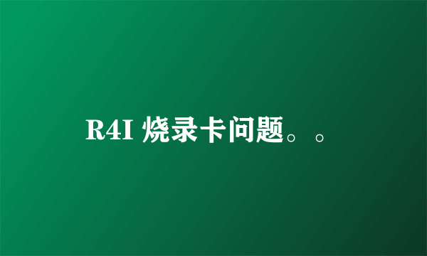 R4I 烧录卡问题。。