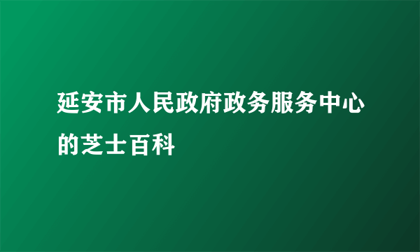 延安市人民政府政务服务中心的芝士百科