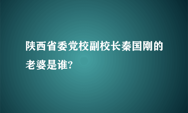 陕西省委党校副校长秦国刚的老婆是谁?