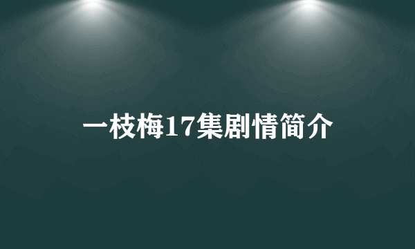 一枝梅17集剧情简介