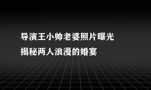 导演王小帅老婆照片曝光     揭秘两人浪漫的婚宴