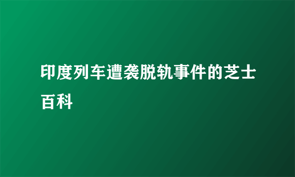 印度列车遭袭脱轨事件的芝士百科