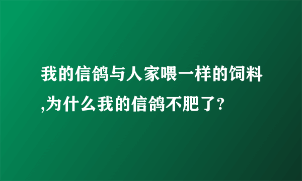 我的信鸽与人家喂一样的饲料,为什么我的信鸽不肥了?