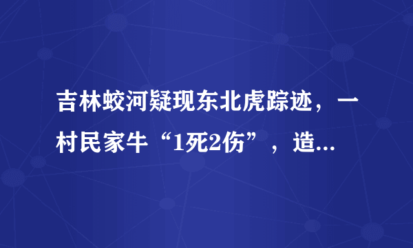 吉林蛟河疑现东北虎踪迹，一村民家牛“1死2伤”，造成的损失谁来承担？