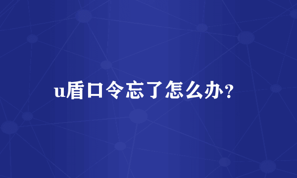 u盾口令忘了怎么办？