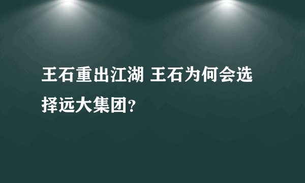 王石重出江湖 王石为何会选择远大集团？