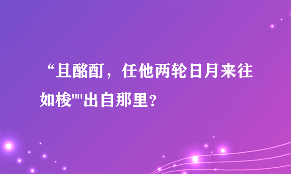 “且酩酊，任他两轮日月来往如梭