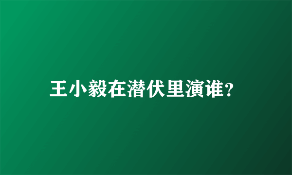 王小毅在潜伏里演谁？