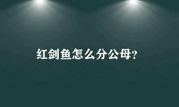 红剑鱼怎么分公母？