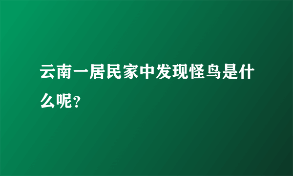 云南一居民家中发现怪鸟是什么呢？