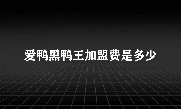 爱鸭黑鸭王加盟费是多少