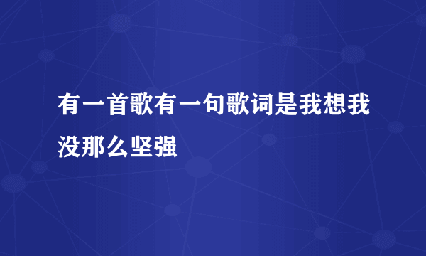 有一首歌有一句歌词是我想我没那么坚强