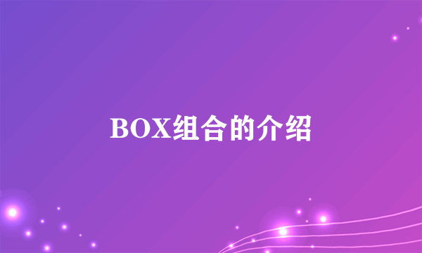 BOX组合的介绍