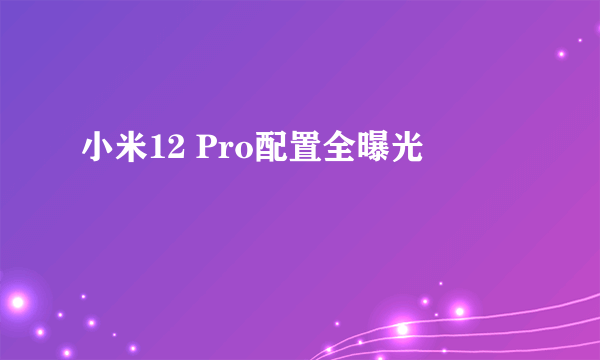 小米12 Pro配置全曝光