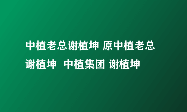 中植老总谢植坤 原中植老总谢植坤  中植集团 谢植坤