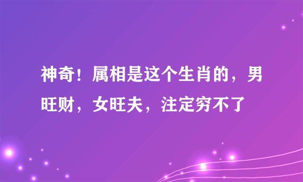 神奇！属相是这个生肖的，男旺财，女旺夫，注定穷不了