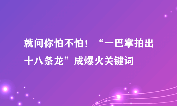 就问你怕不怕！“一巴掌拍出十八条龙”成爆火关键词