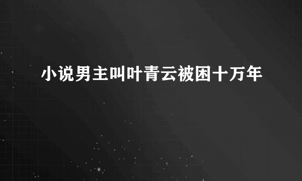 小说男主叫叶青云被困十万年