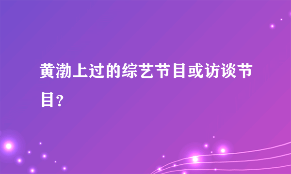 黄渤上过的综艺节目或访谈节目？