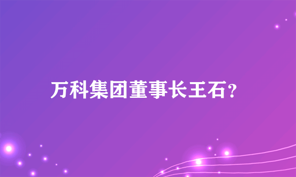 万科集团董事长王石？