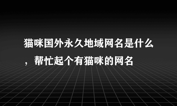 猫咪国外永久地域网名是什么，帮忙起个有猫咪的网名