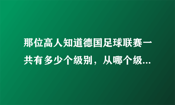 那位高人知道德国足球联赛一共有多少个级别，从哪个级别开始是业余的，德丁下面的联赛是怎么个状况，分组