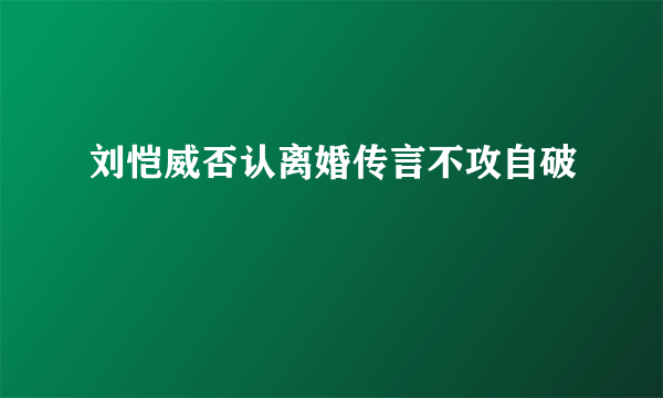 刘恺威否认离婚传言不攻自破