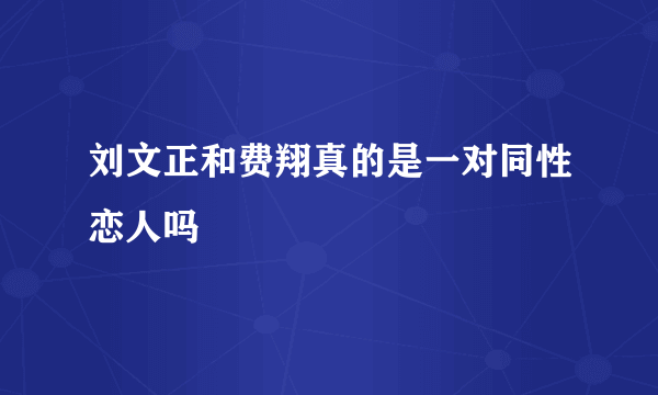 刘文正和费翔真的是一对同性恋人吗