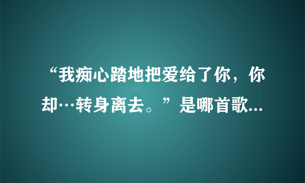 “我痴心踏地把爱给了你，你却…转身离去。”是哪首歌里的歌词。