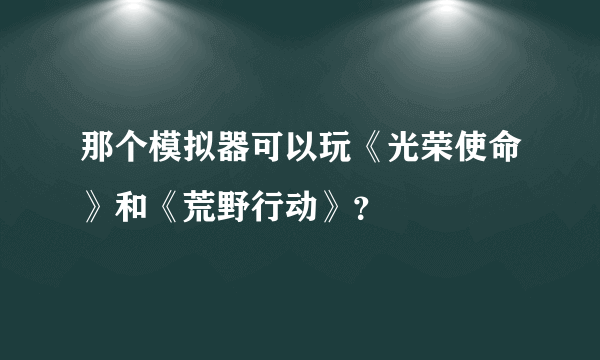 那个模拟器可以玩《光荣使命》和《荒野行动》？