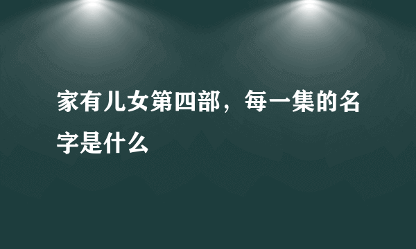 家有儿女第四部，每一集的名字是什么