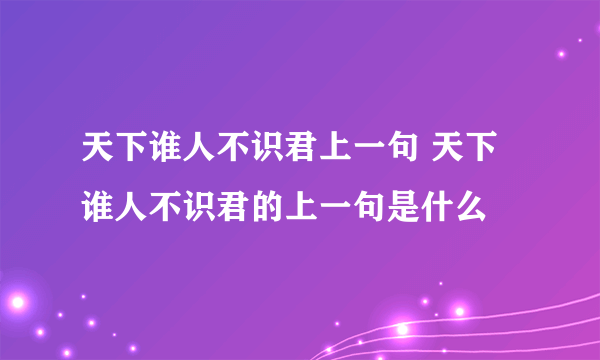 天下谁人不识君上一句 天下谁人不识君的上一句是什么