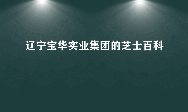 辽宁宝华实业集团的芝士百科